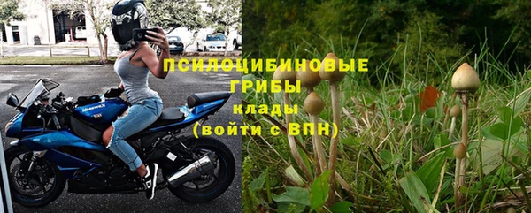 дмт Алзамай