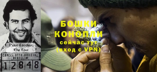 прущие крисы Абаза