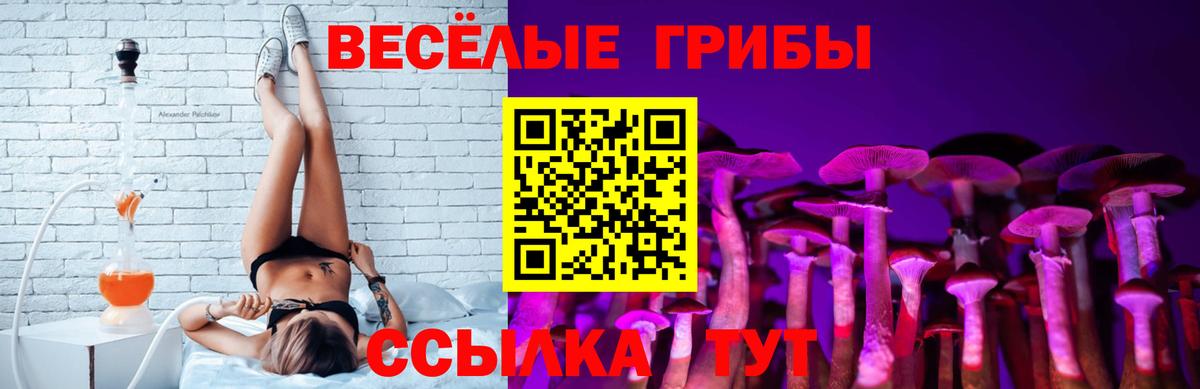 Псилоцибиновые грибы Psilocybe  Вход с VPN  Конаково  хочу   Галлюциногенные грибы Psilocybine cubensis 