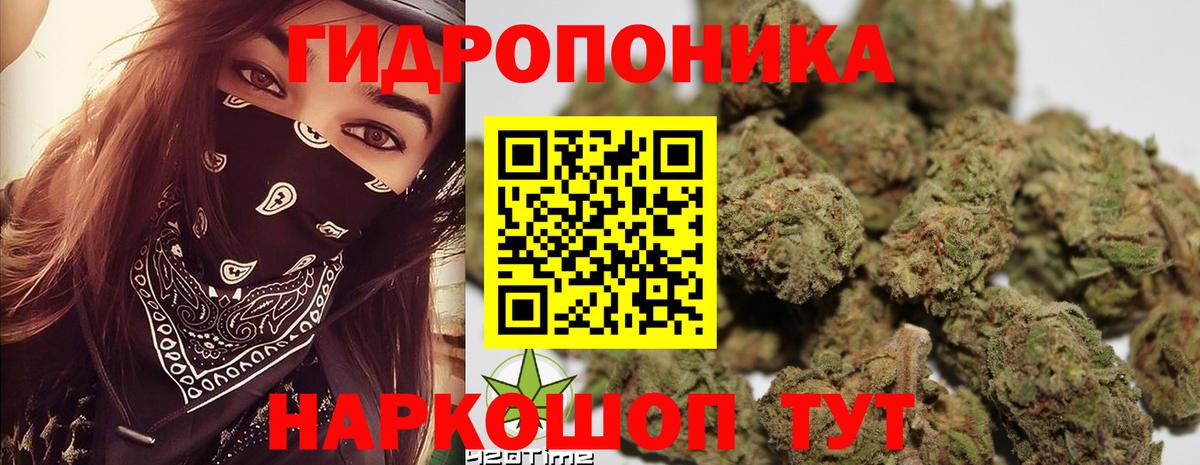 Конопля сатива  Бошки Шишки SATIVA & INDICA  Конаково  Вход с VPN  Бошки Шишки LSD WEED 